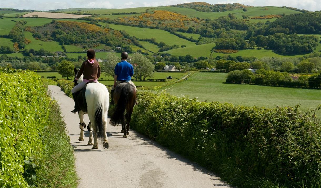 Gwydyr Stables Trekking Centre Horse Riding In Penmachno